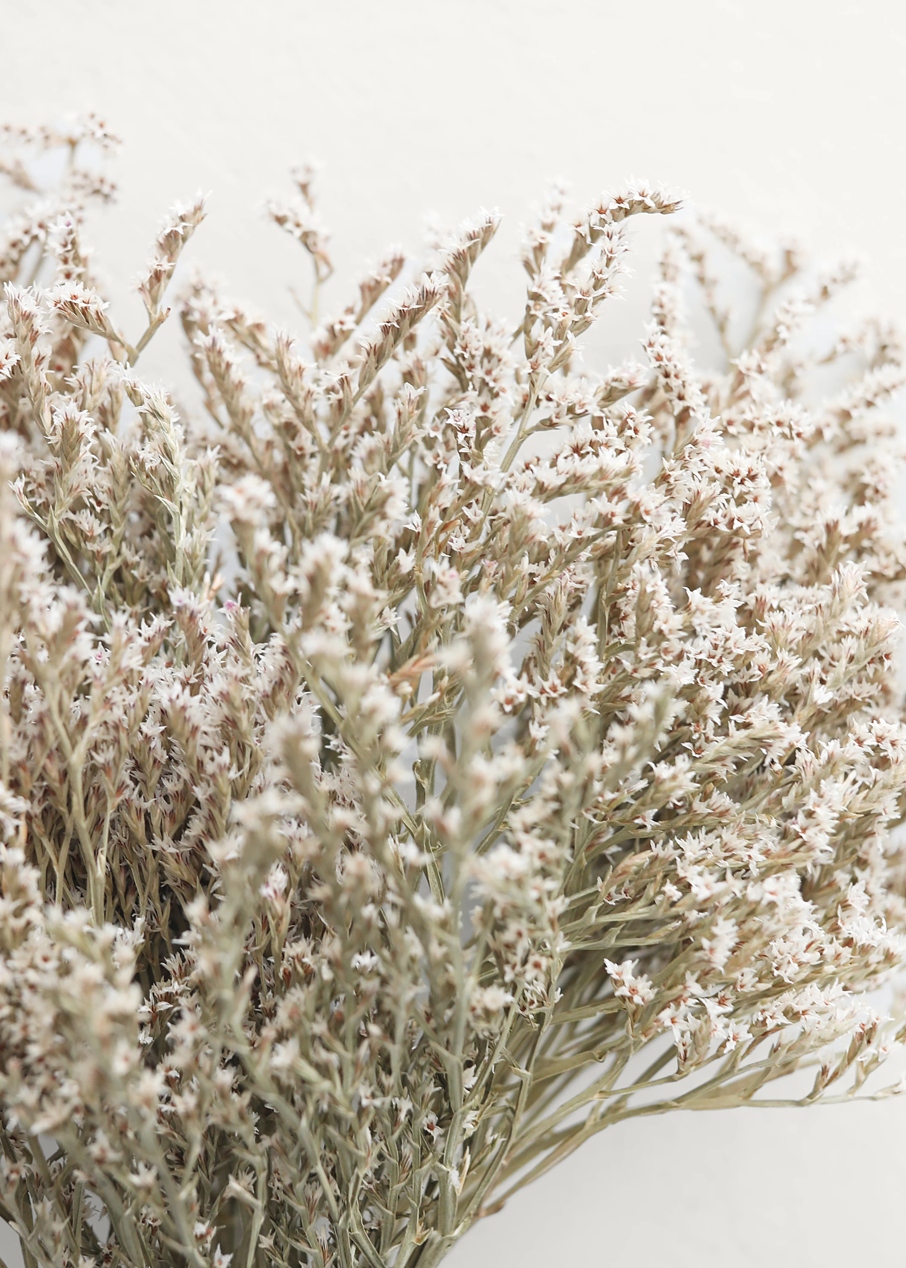 Everyday Best-Selling Artificial Plants and Dried Grasses